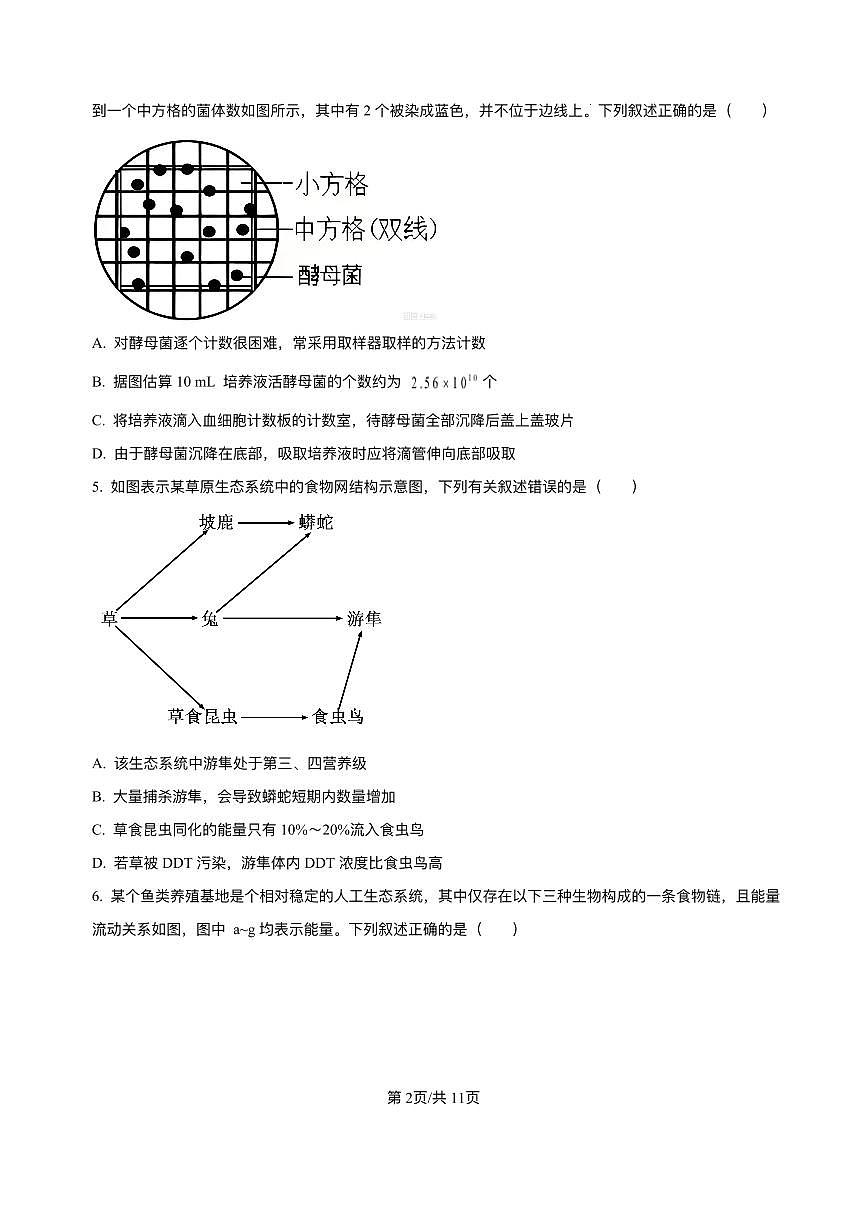湖南省长沙市第一中学2025-2026学年高二上学期12月月考生物试题含答案第2页