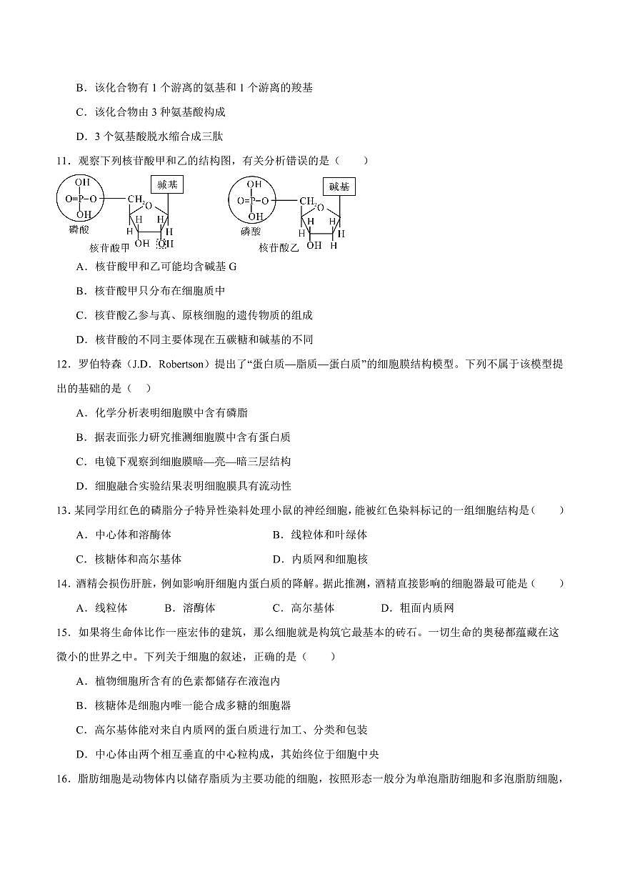 河北省张家口市2025-2026学年高一上学期期中考试 生物 Word版含答案第3页