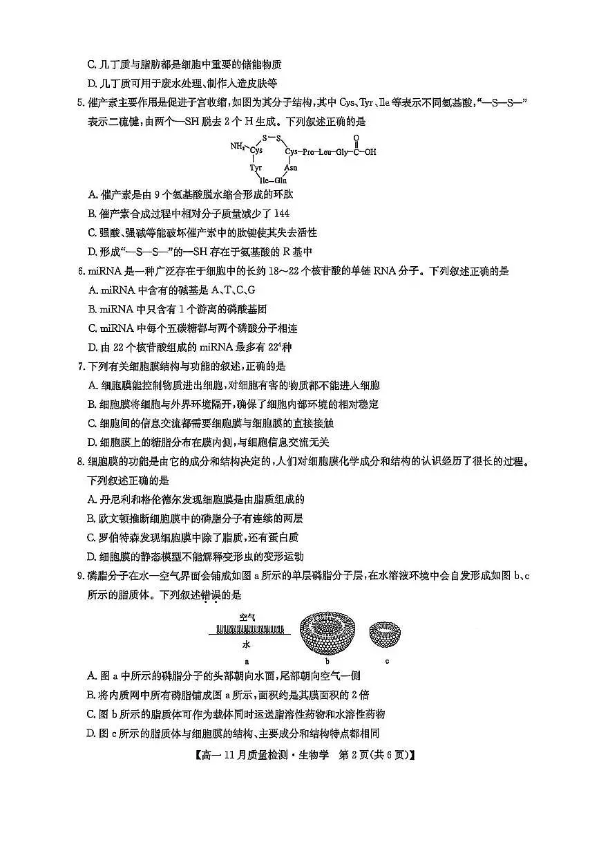 辽宁省沈阳市重点高中2025-2026学年高一上学期11月期中考试试题 生物（含答案）第2页