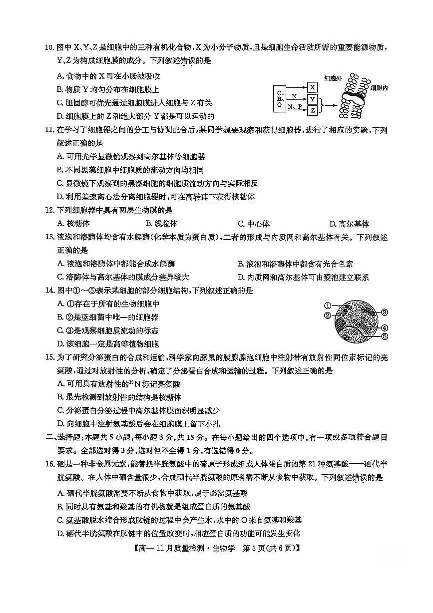辽宁省沈阳市重点高中2025-2026学年高一上学期11月期中考试试题 生物（含答案）第3页