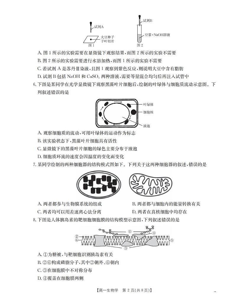 辽宁省葫芦岛市县协作校2025-2026学年高一上学期第二次考试生物试卷（含答案）第2页