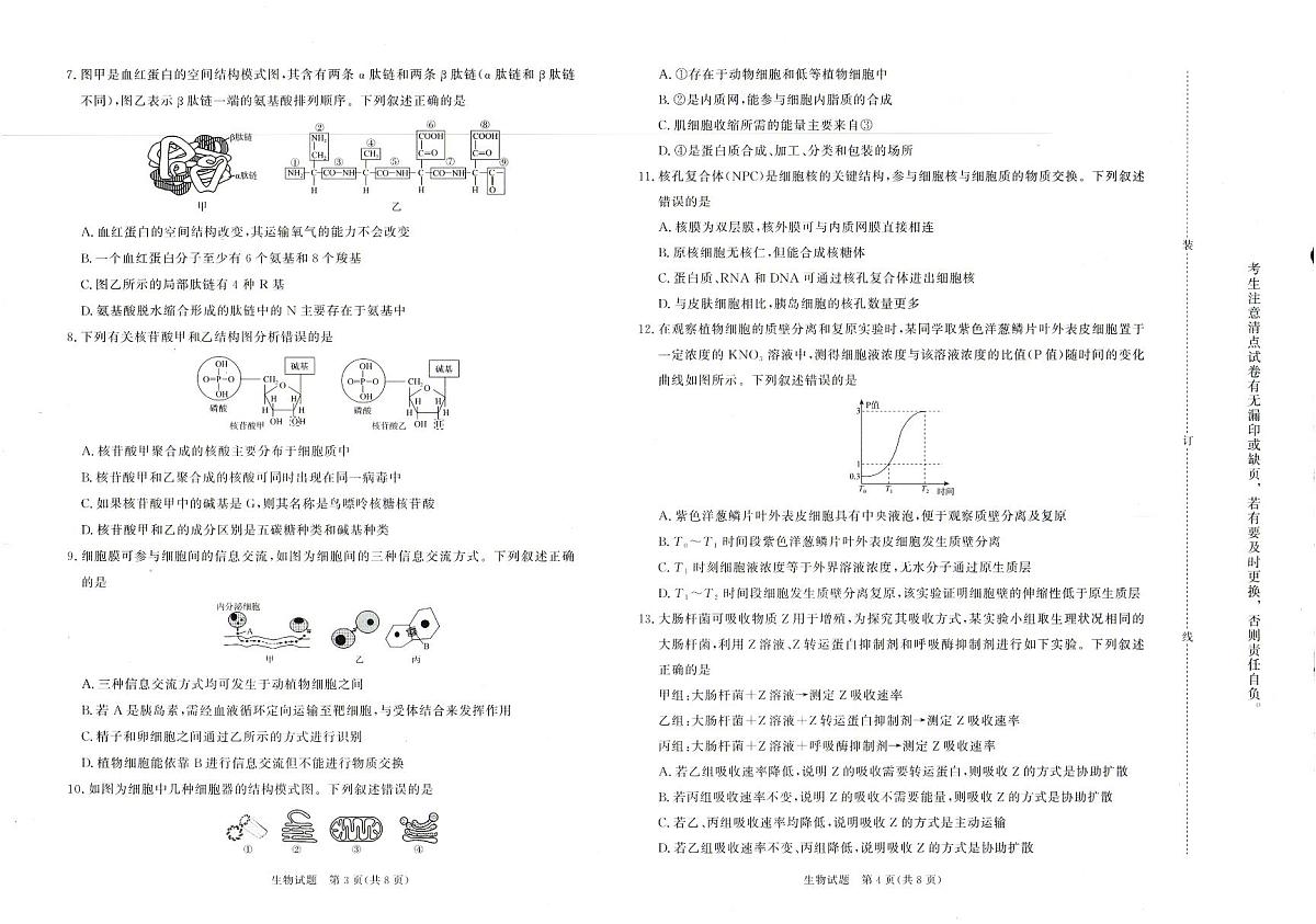 河南省青桐鸣大联考2025-2026学年高一上学期12月月考生物试卷（含答案）第2页