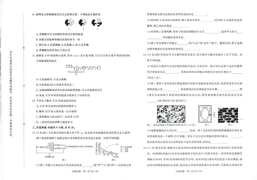 河南省青桐鸣大联考2025-2026学年高一上学期12月月考生物试卷（含答案）第3页