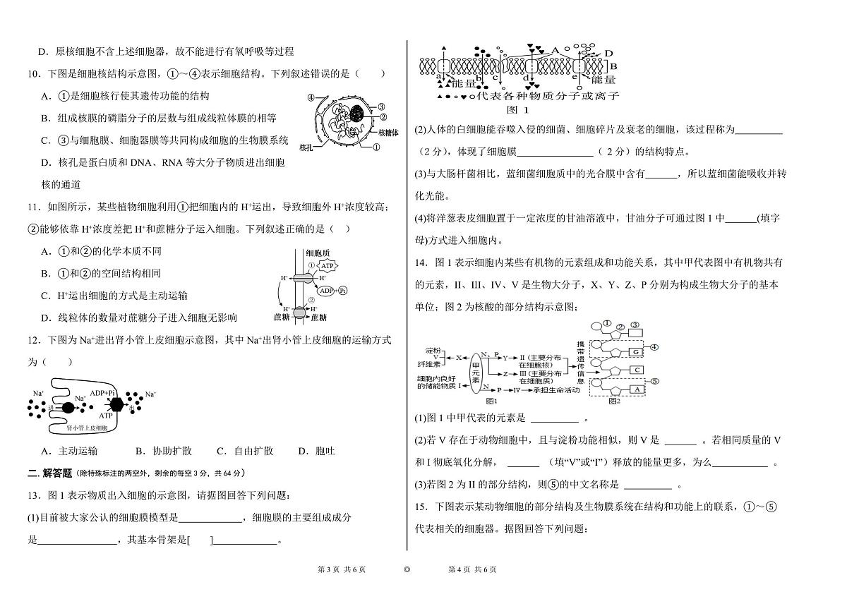 新疆维吾尔自治区喀什地区巴楚县第一中学2025-2026学年高一上学期12月月考生物试卷第2页