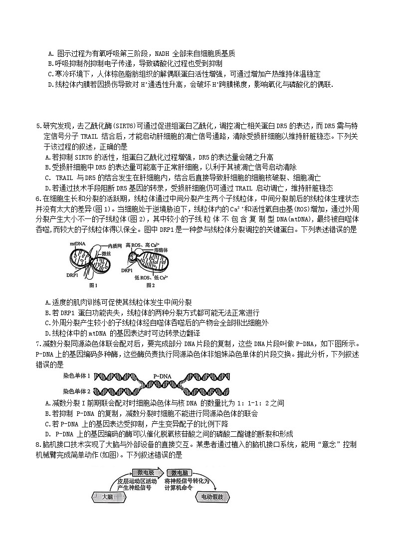 重庆市2026届高三上学期12月高考模拟调研考试（一）生物试卷（Word版附答案）第2页