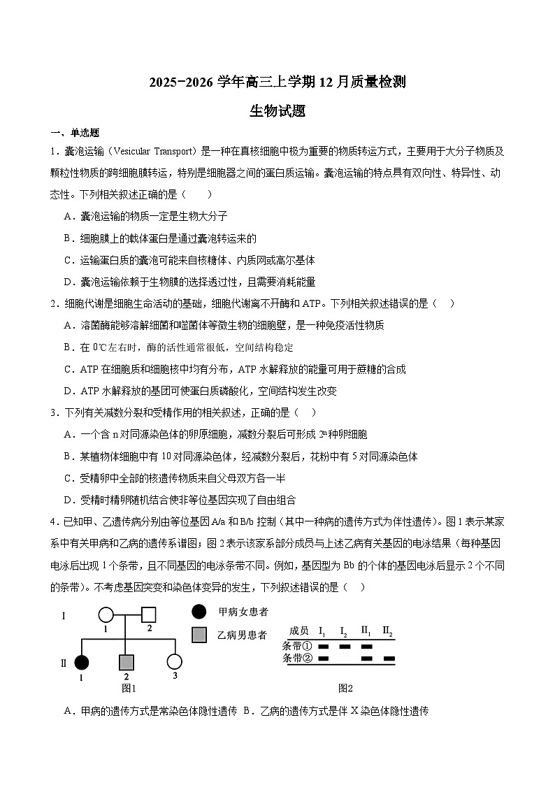 四川省部分重点高中2026届高三上学期一轮复习12月质量检测 生物试卷(含答案）第1页