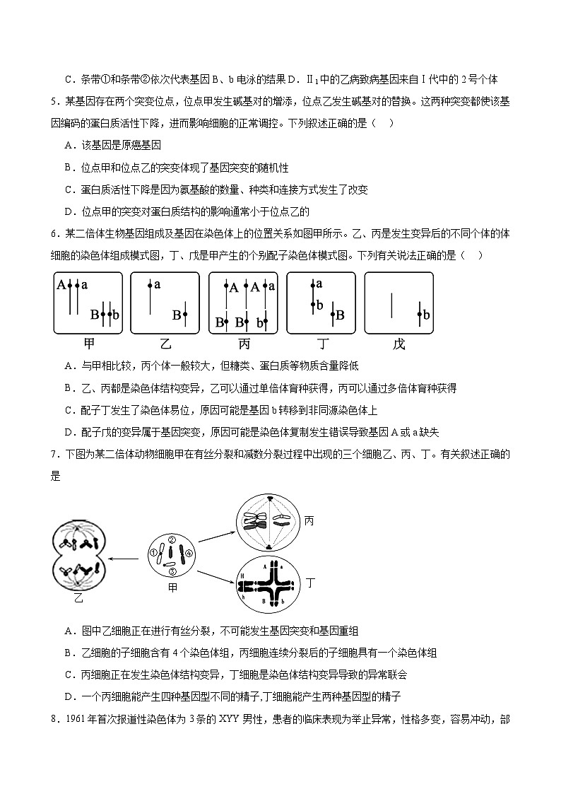 四川省部分重点高中2026届高三上学期一轮复习12月质量检测 生物试卷(含答案）第2页
