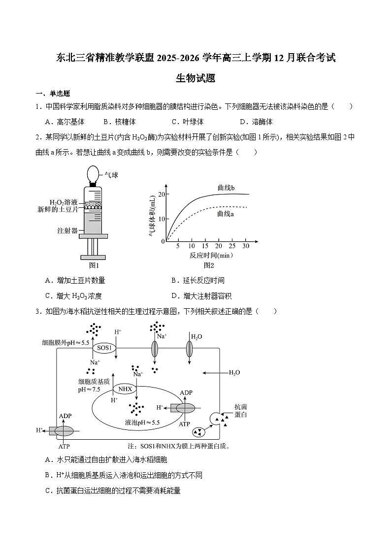 东北三省精准教学联盟2026届高三上学期12月联合考试 生物试卷（含答案）第1页