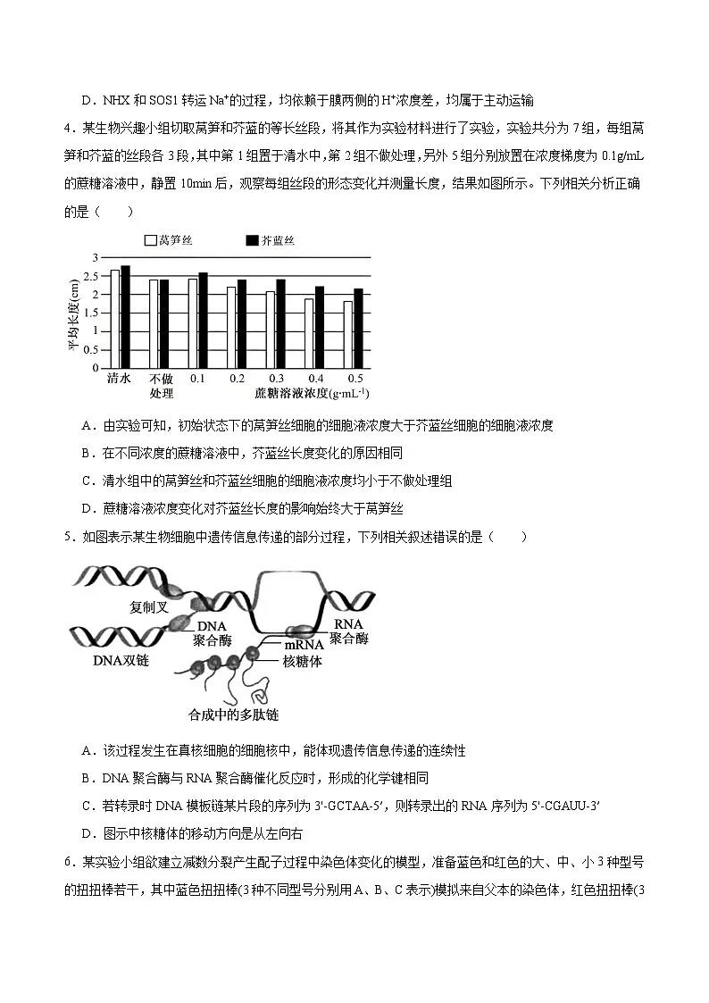 东北三省精准教学联盟2026届高三上学期12月联合考试 生物试卷（含答案）第2页