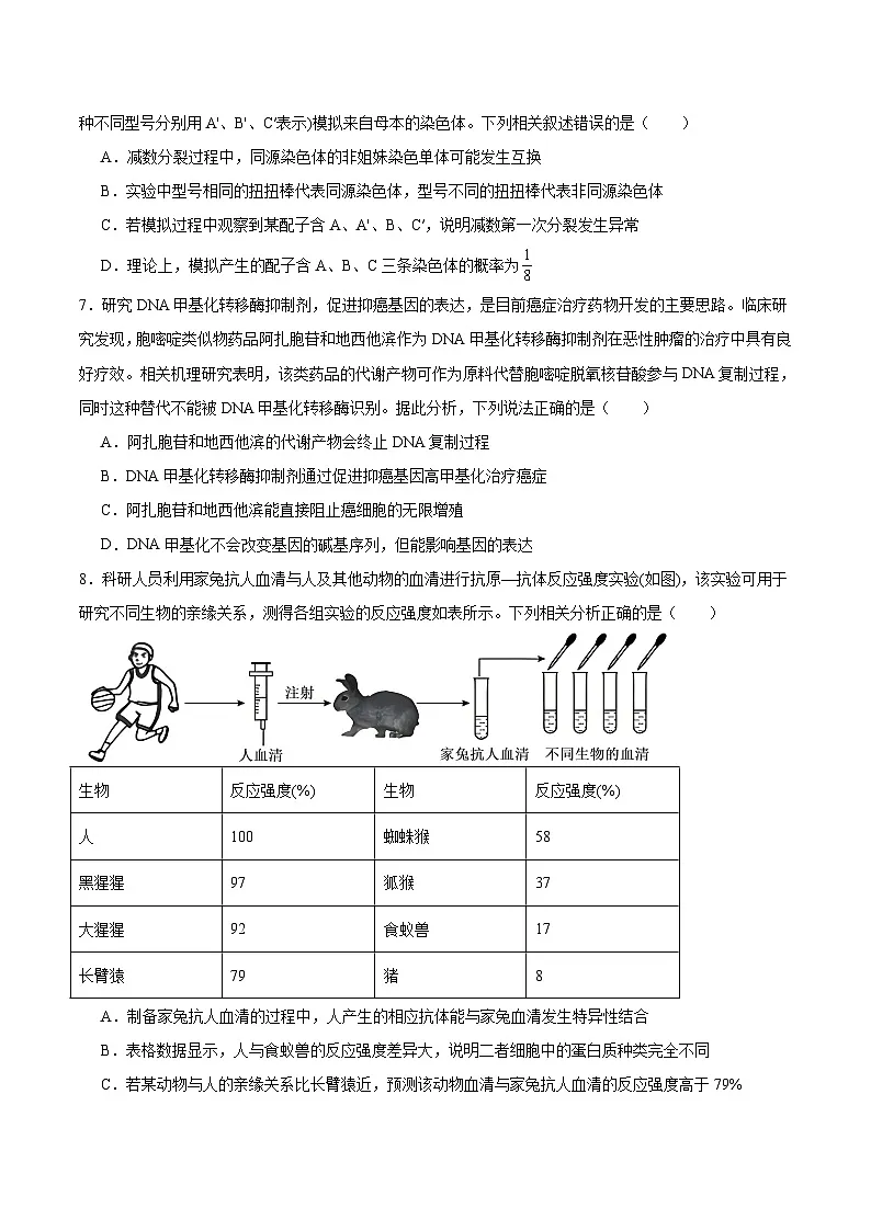 东北三省精准教学联盟2026届高三上学期12月联合考试 生物试卷（含答案）第3页