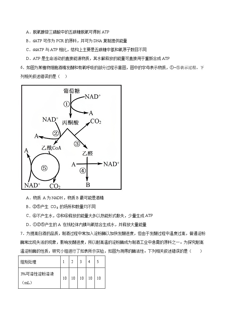 云南省楚雄州2026届高三上学期12月模拟预测 生物试卷(含答案）第2页