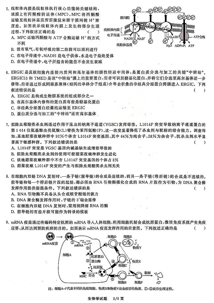 生物试题第2页