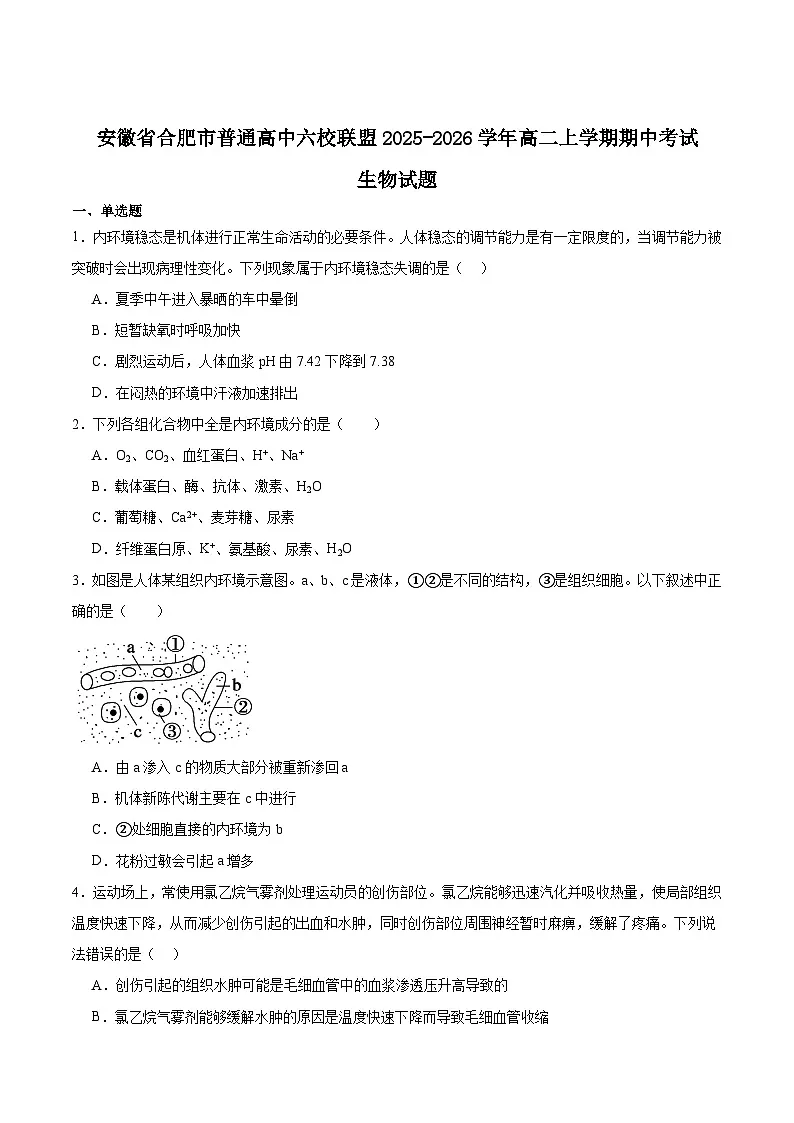 安徽省合肥市普通高中六校联盟2025-2026学年高二上学期11月期中考试生物试卷（Word版附答案）第1页