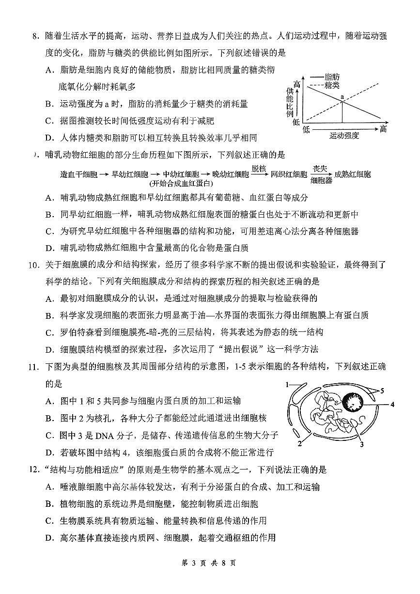 湖北省百强高中名校2025-2026学年高一上学期12月月考生物试题第3页