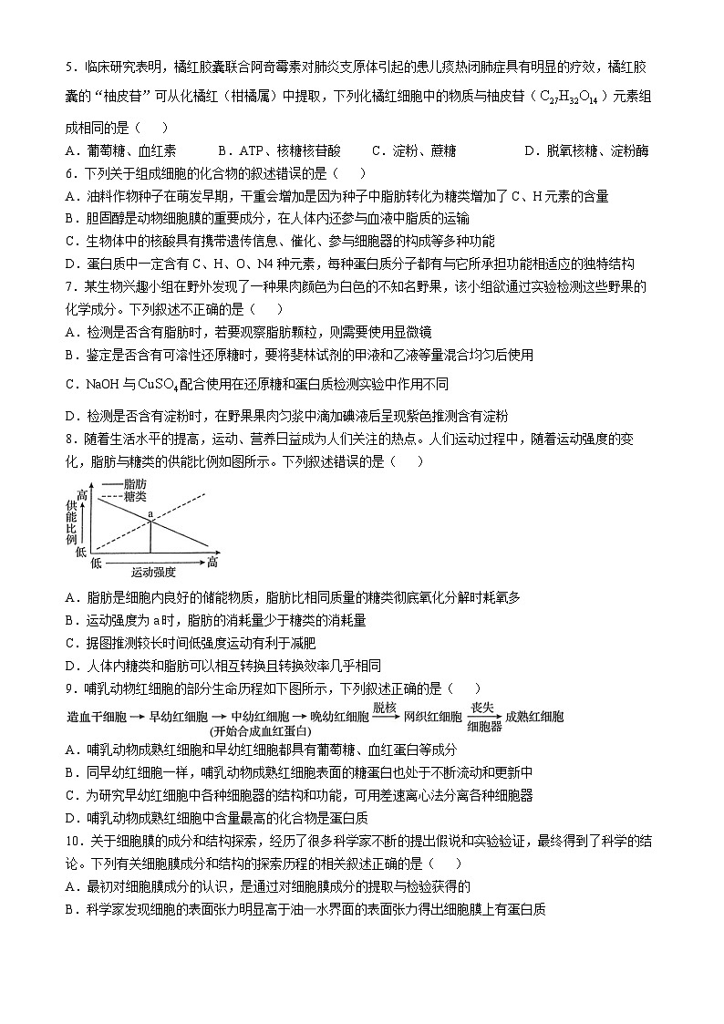 湖北省百强高中名校2025-2026学年高一上学期12月月考生物试题第2页