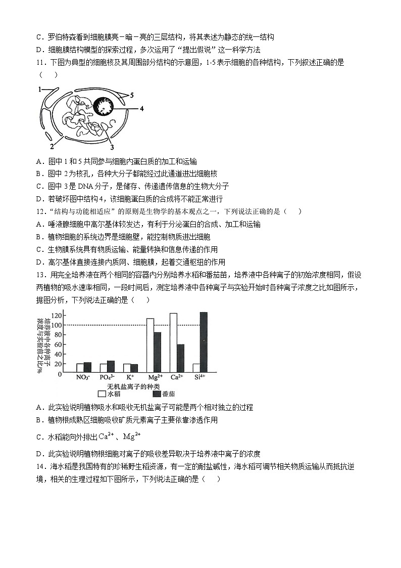 湖北省百强高中名校2025-2026学年高一上学期12月月考生物试题第3页