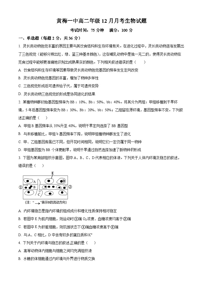 湖北省黄冈市黄梅县第一中学2025-2026学年高二上学期12月月考生物试题（原卷版）第1页