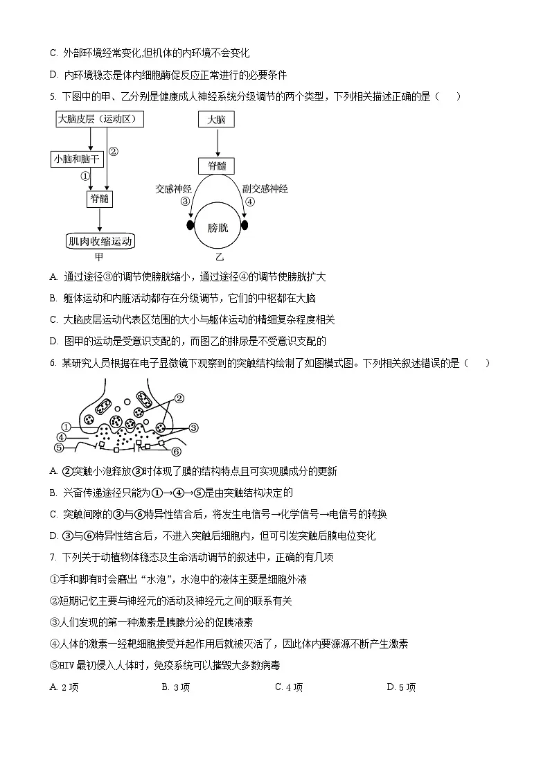 湖北省黄冈市黄梅县第一中学2025-2026学年高二上学期12月月考生物试题（原卷版）第2页