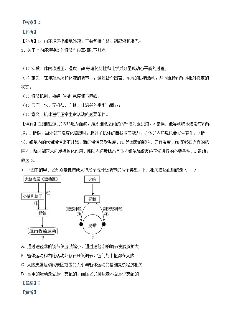 湖北省黄冈市黄梅县第一中学2025-2026学年高二上学期12月月考生物试题 Word版含解析第3页