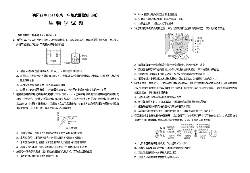 湖北省襄阳市第四中学2025-2026学年高一上学期12月月考生物试题（Word版附解析）第1页