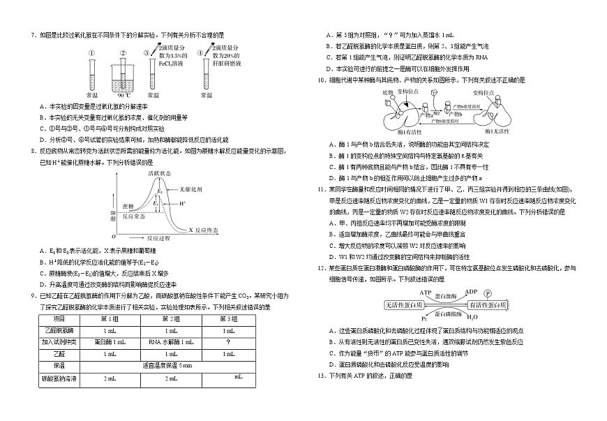 湖北省襄阳市第四中学2025-2026学年高一上学期12月月考生物试题（Word版附解析）第2页