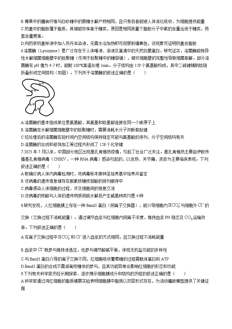 湖北省重点高中智学联盟2025-2026学年高一上学期12月期中生物试题（Word版附解析）第2页