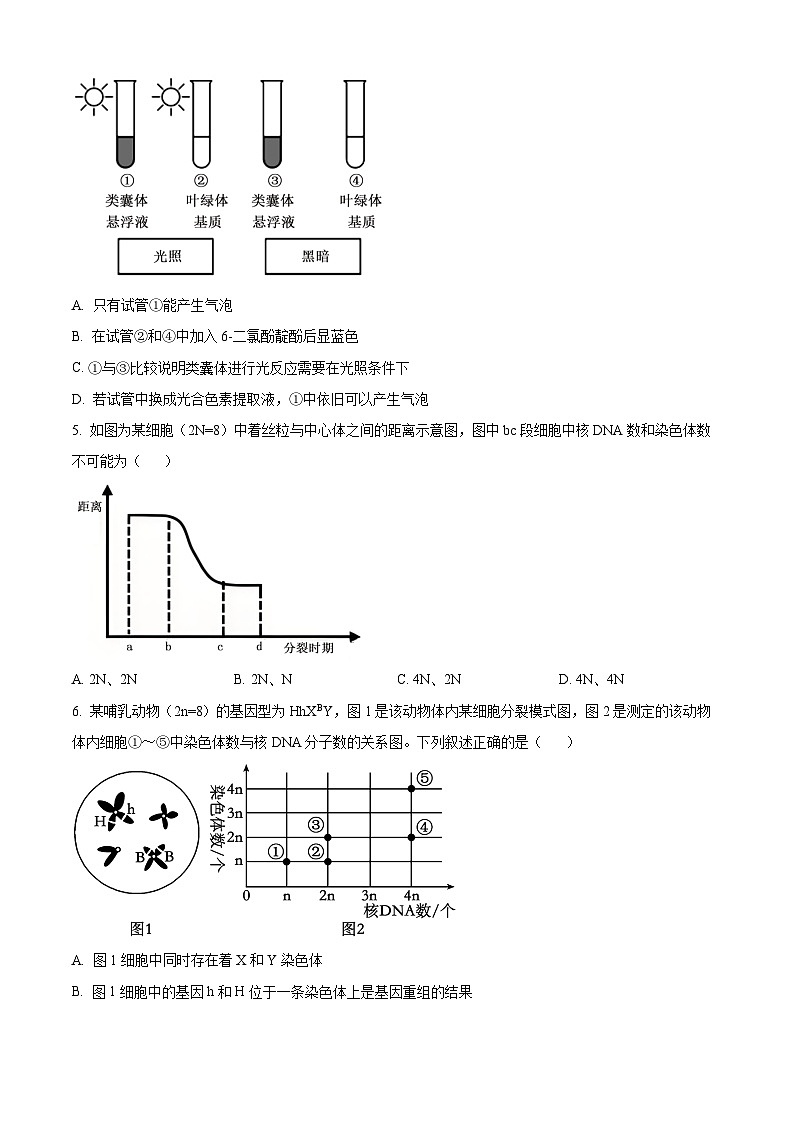辽宁省名校联盟2026届高三上学期12月份联合考试 生物试卷（PDF图片版）（含答案）第2页