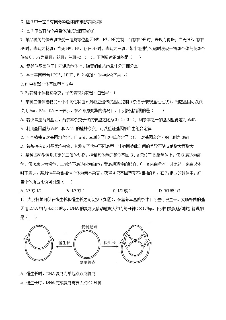 辽宁省名校联盟2026届高三上学期12月份联合考试 生物试卷（PDF图片版）（含答案）第3页