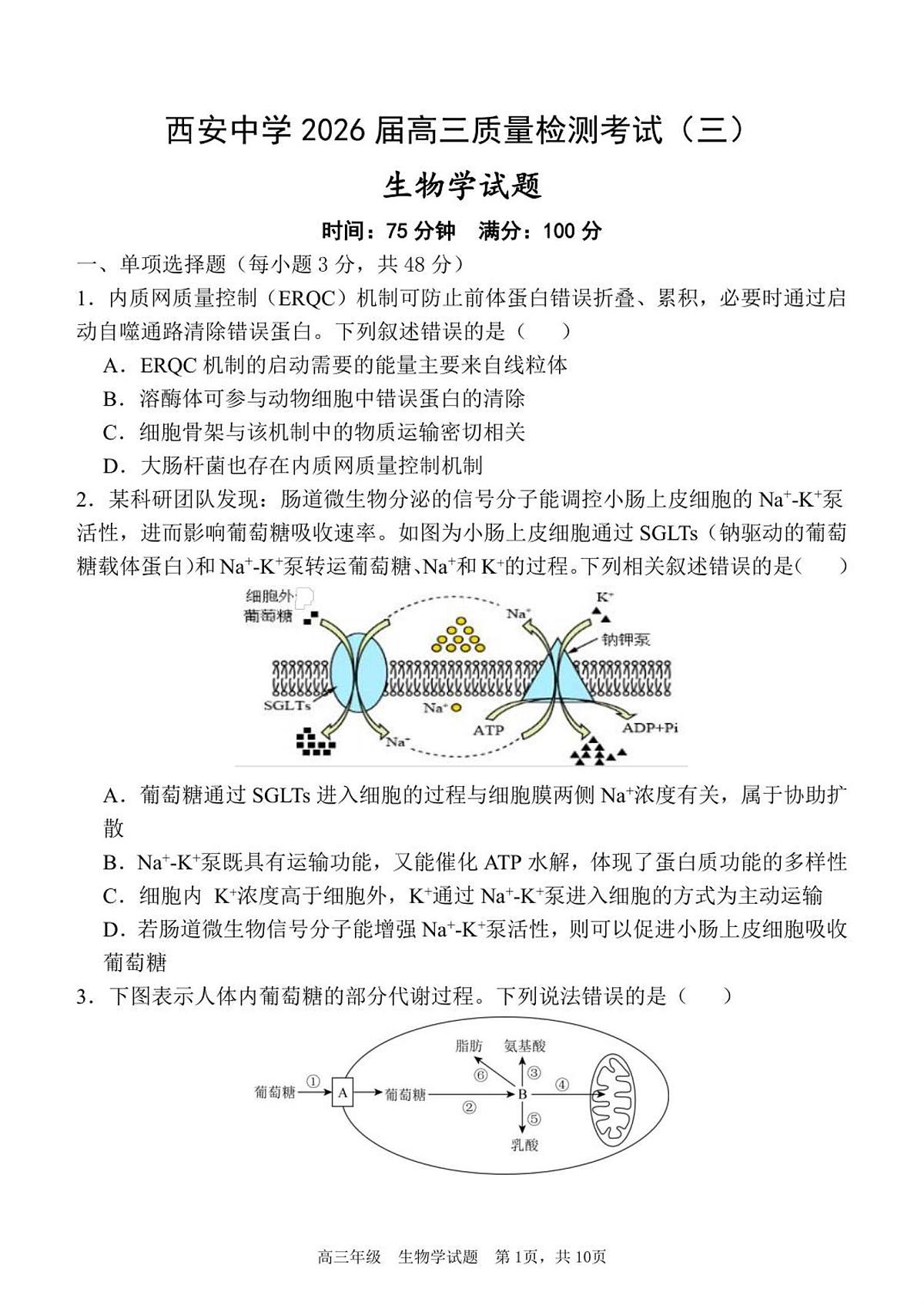 陕西省西安中学2025-2026学年高三上学期质量检测（三）生物试题第1页