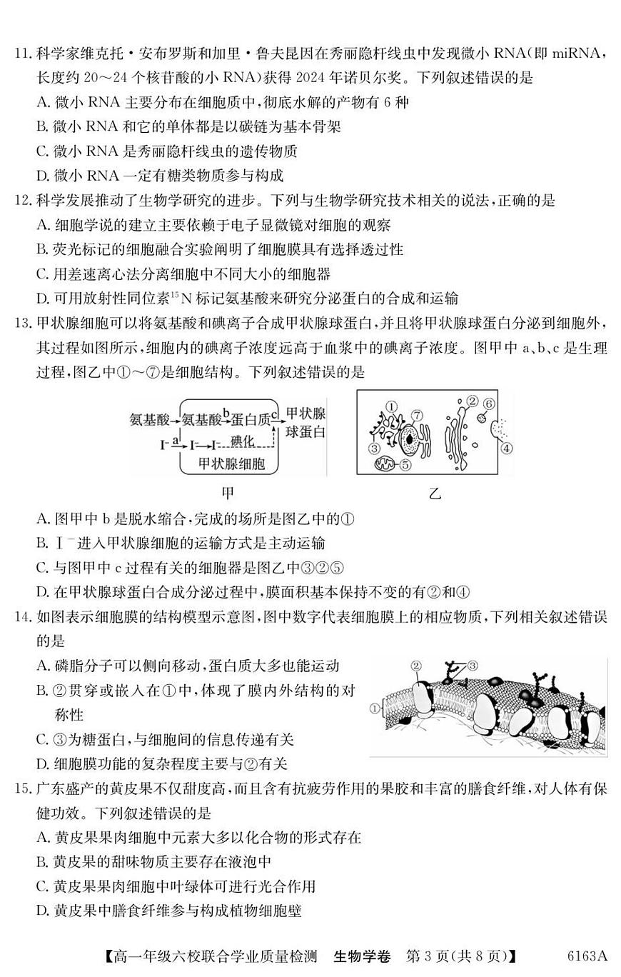 广东省六校2025-2026学年高一上学期12月联合学业质量检测生物试卷（含答案）第3页
