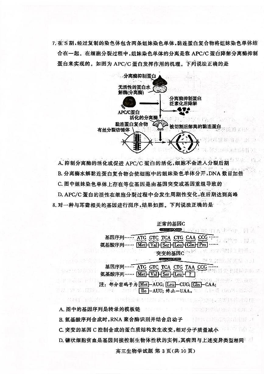 山东高考质量测评联盟大联考高三上学期12月联考生物试卷（含答案）第3页