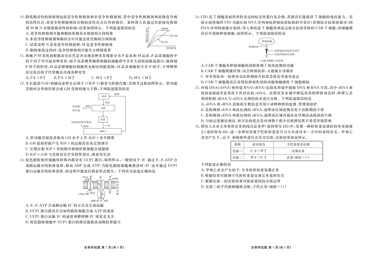 广东省衡水金卷2025-2026学年高三上学期12月联考生物试卷（含答案）第2页