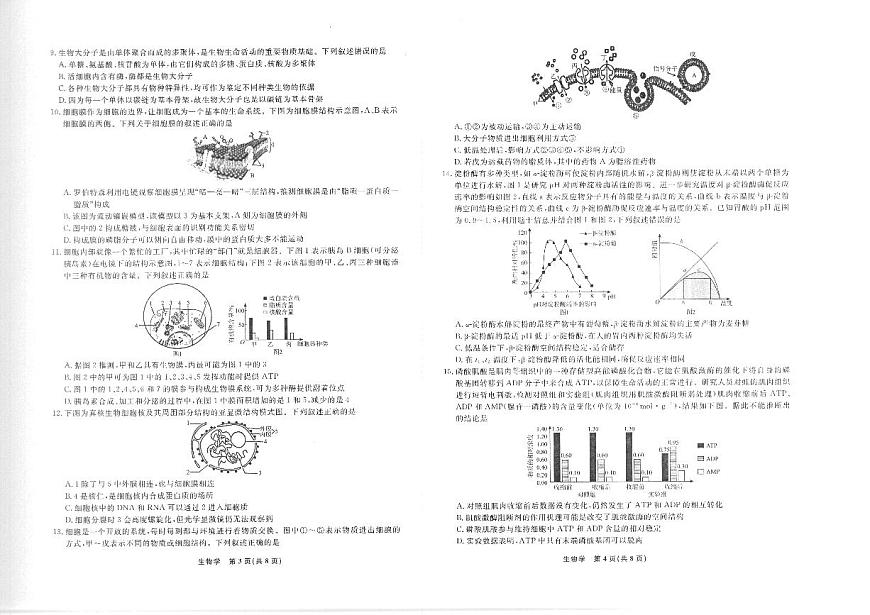辽宁省名校联盟2025-2026学年高一上学期12月联合考试生物试卷（含答案）第2页