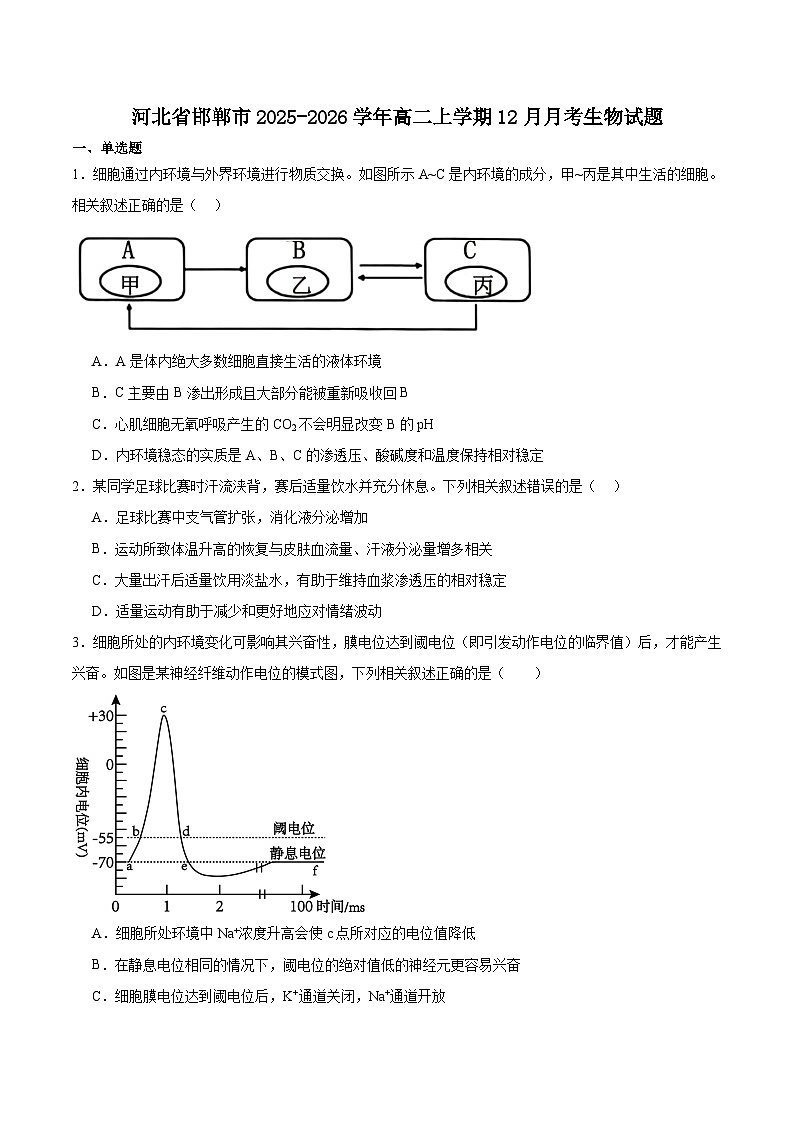 河北省邯郸市2025-2026学年高二上学期12月月考试卷 生物(含答案）第1页