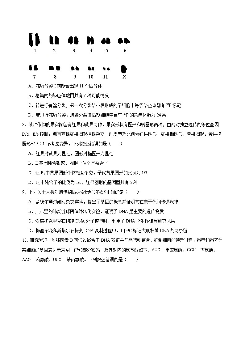 安徽省部分重点高中2025-2026学年高二上学期12月联考试卷 生物(含答案）第3页
