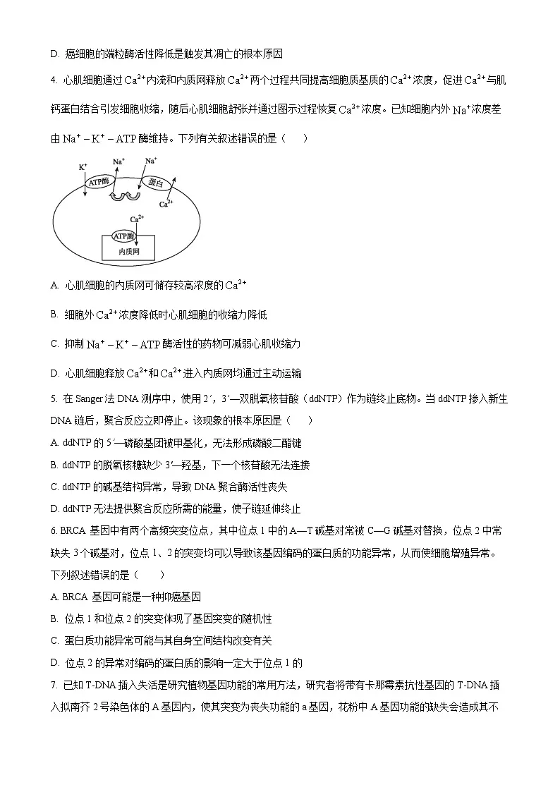 江苏基地联考26上12月生物原卷第2页