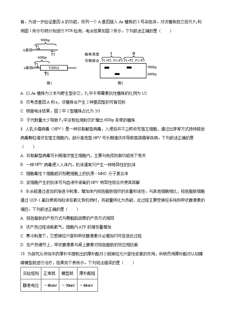 江苏基地联考26上12月生物原卷第3页