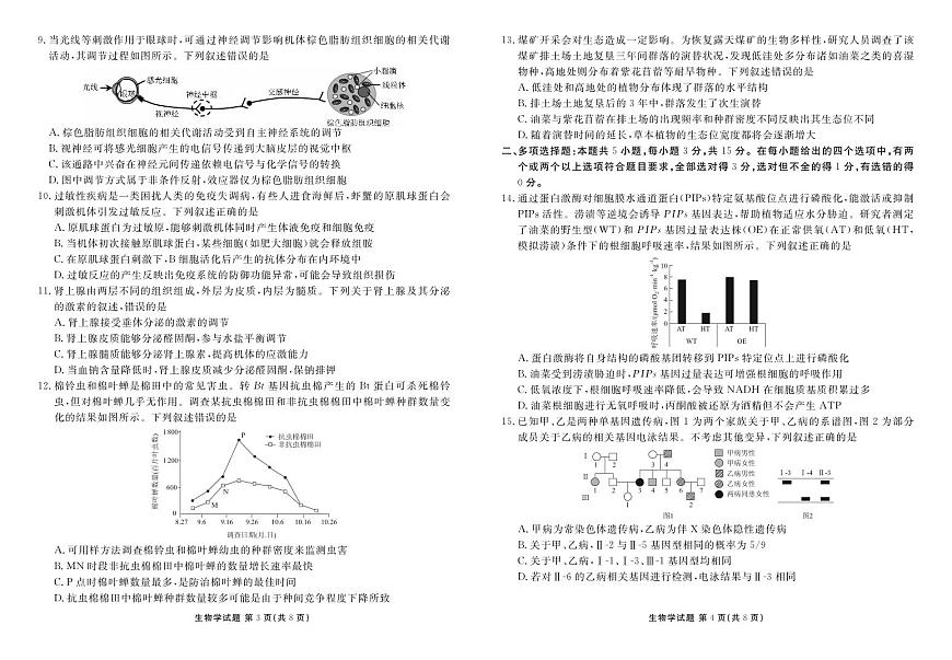 生物-衡水金卷2025-2026学年2026届高三上学期12月联考试题及答案第2页