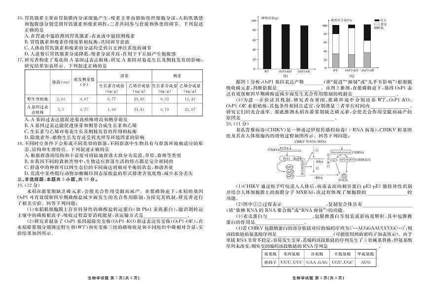 生物-衡水金卷2025-2026学年2026届高三上学期12月联考试题及答案第3页