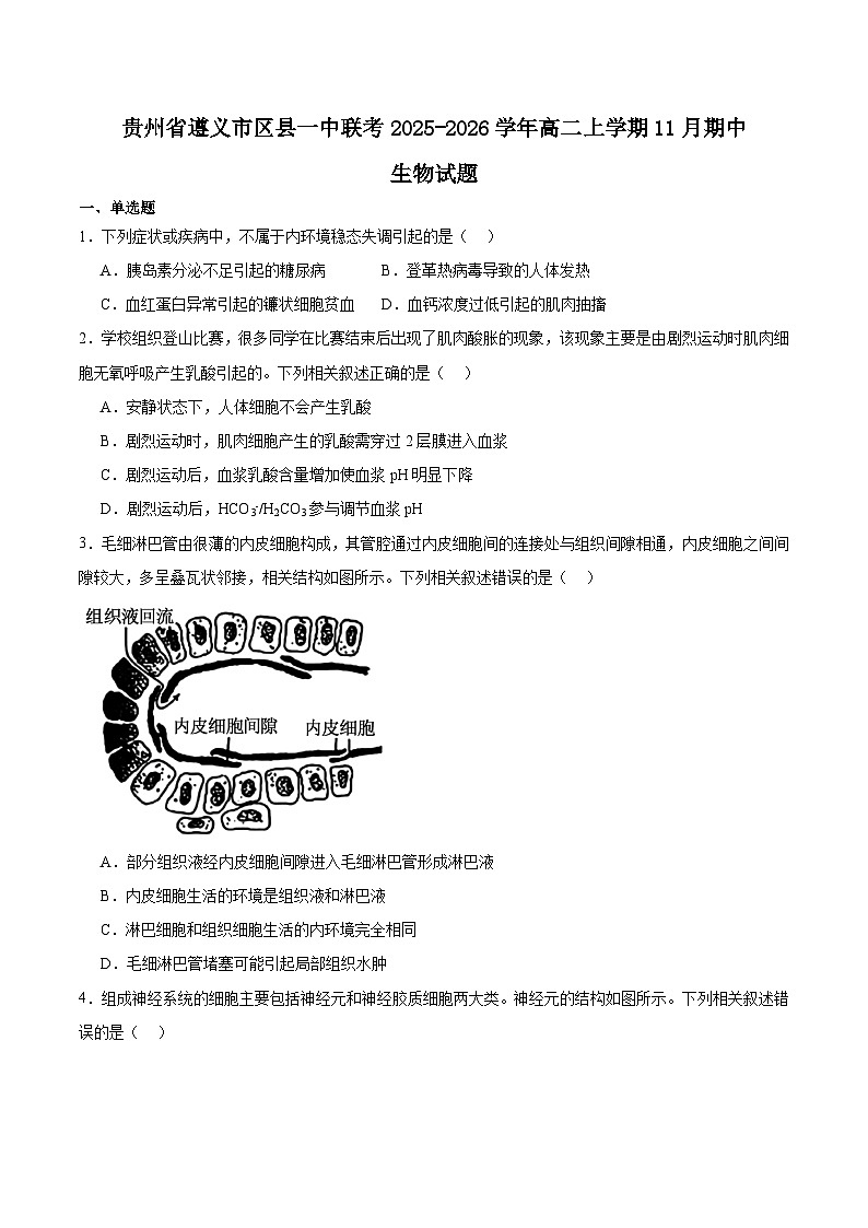 贵州省遵义市区县一中2025-2026学年高二上学期期中联考生物试题（Word版附答案）第1页