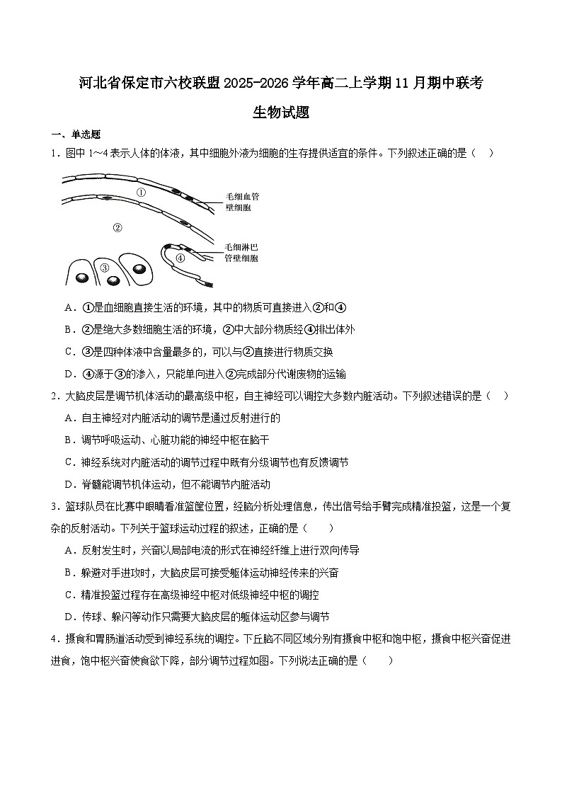 河北省保定市六校联盟2025-2026学年高二上学期期中联考生物试题（Word版附答案）第1页