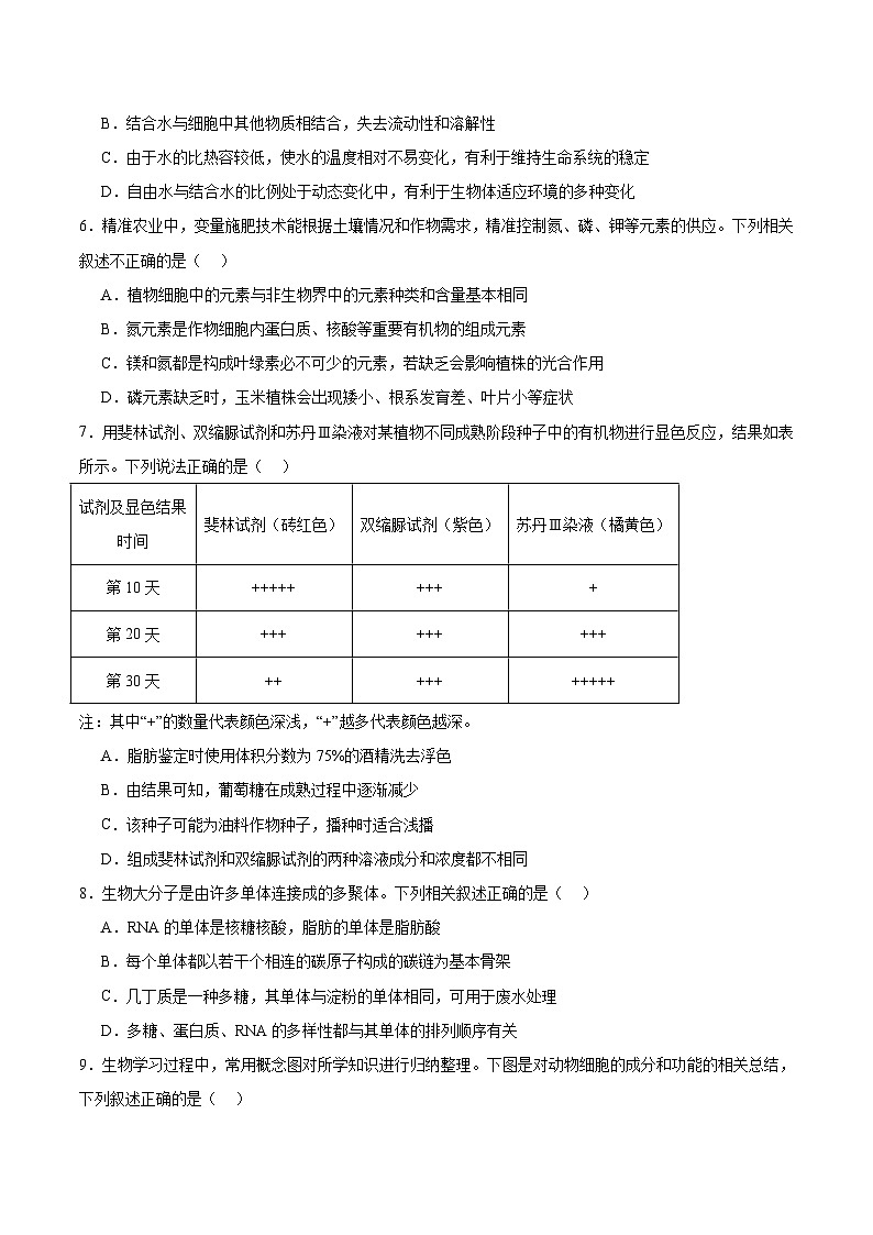 湖北省黄冈市部分高中2025-2026学年高一上学期期中考试生物试题（Word版附答案）第2页