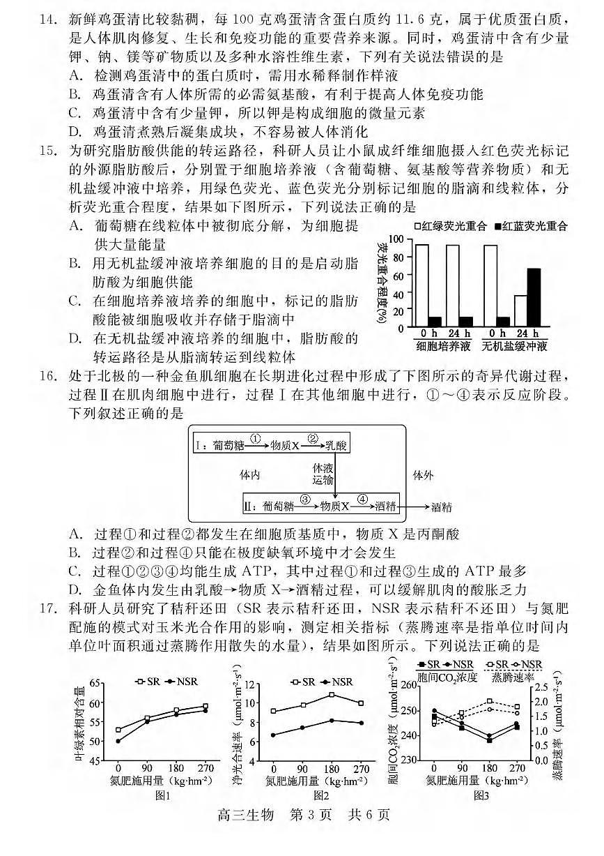 生物丨河北省“NT20”2026届高三上学期10月联考试卷及答案第3页