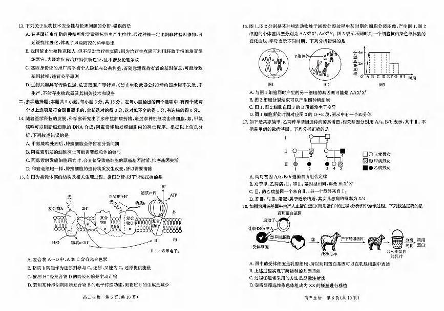 生物丨河北省2026届高三上学期10月阶段性联合测评试卷及答案第3页