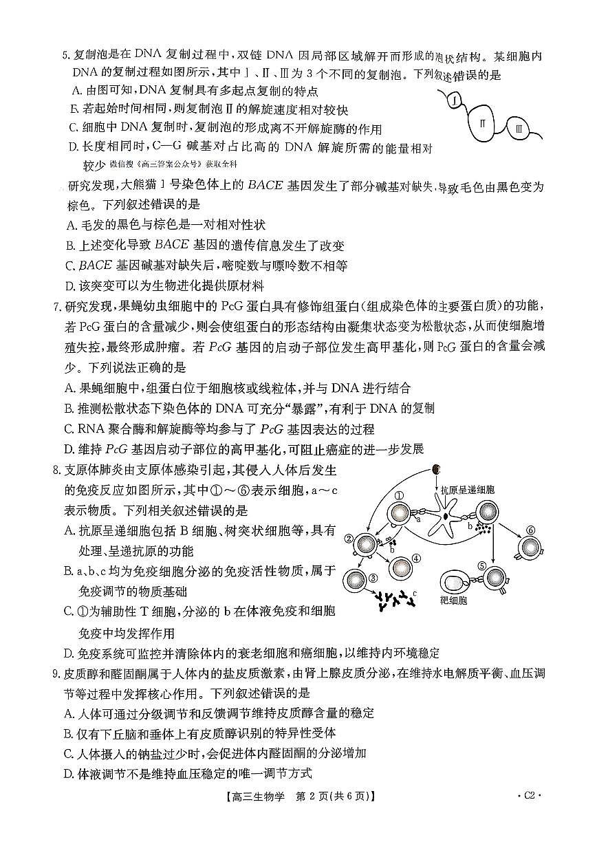 2025-2026学年河南省三联高三上学期12月生物试题无答案第2页