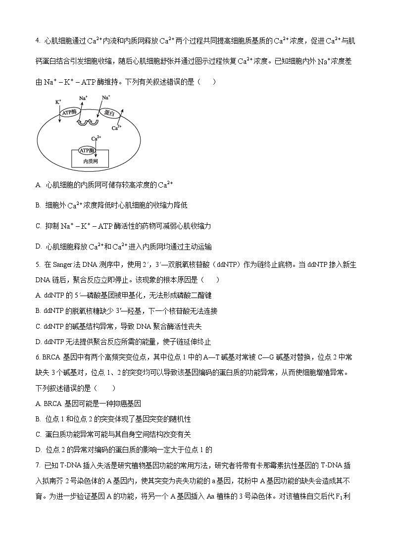 江苏基地联考26上12月生物原卷第2页