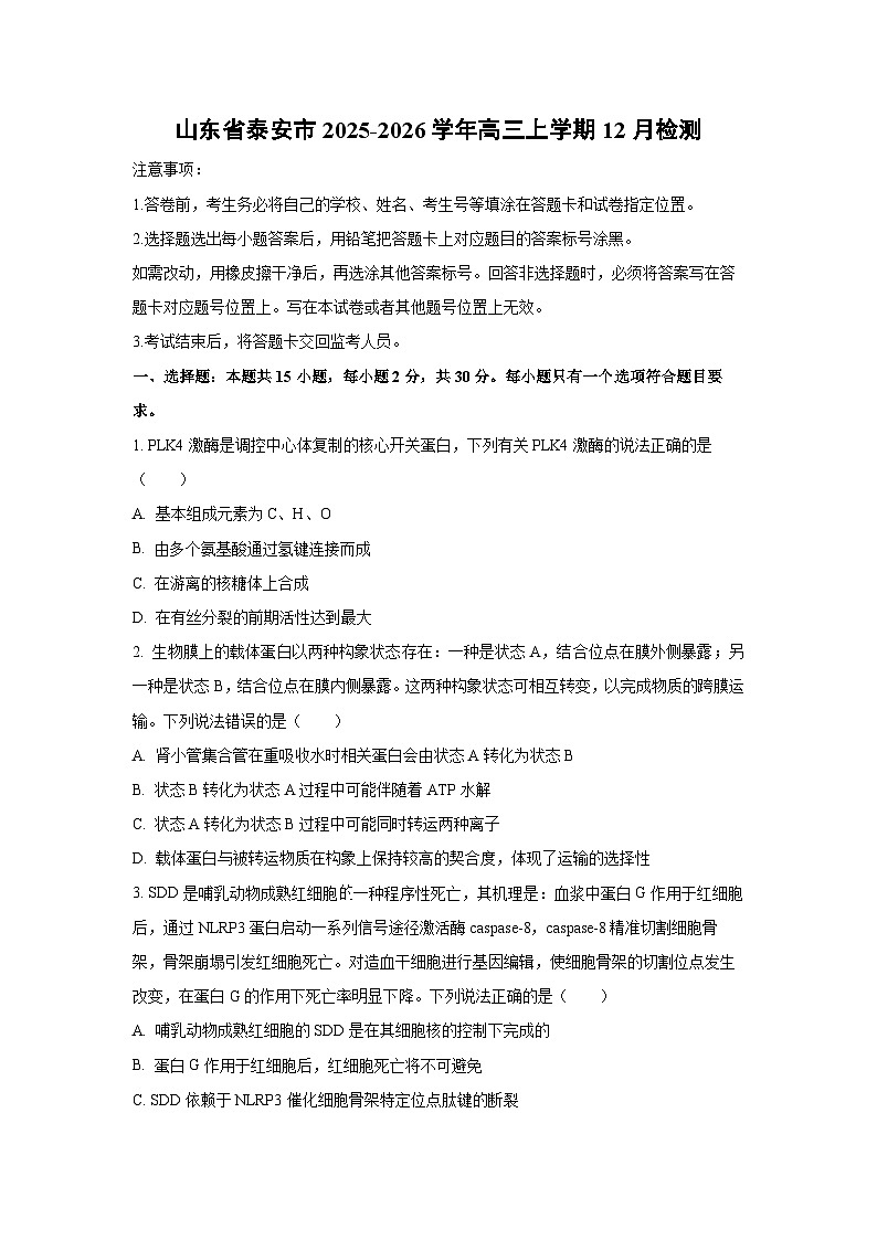 2025-2026学年山东省泰安市高三上学期12月检测生物试卷（学生版）第1页