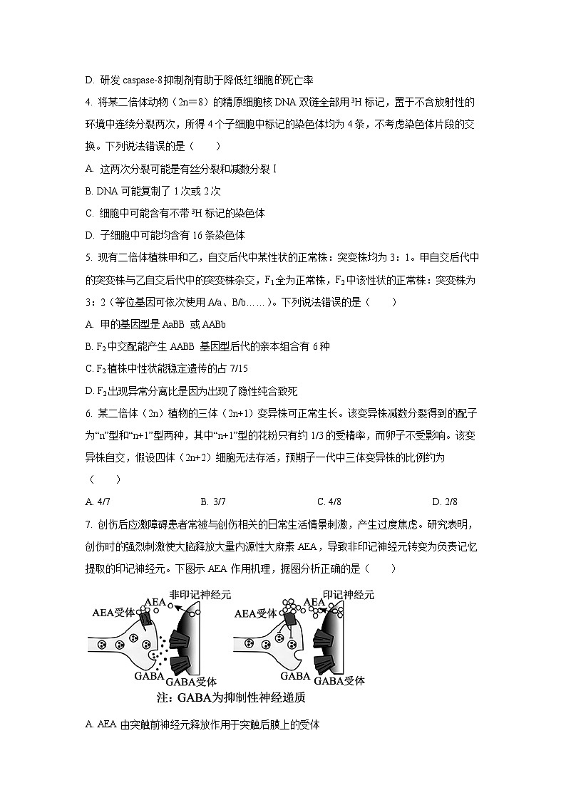 2025-2026学年山东省泰安市高三上学期12月检测生物试卷（学生版）第2页