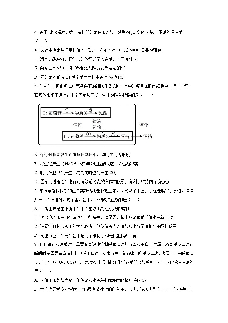 2025-2026学年陕西西安部分学校高二上学期期中考试生物试卷（学生版）第2页