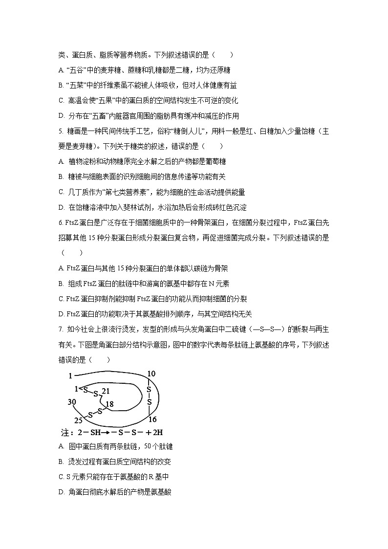 2025-2026学年辽宁省七校协作体高一上学期期中生物试卷（学生版）第2页